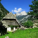Alp Hotel 3*
