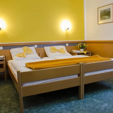Alp Hotel 3*