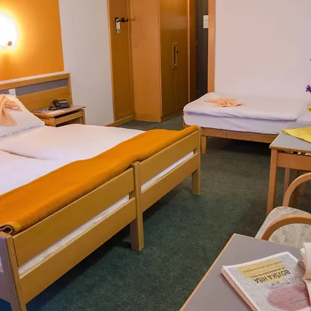 Hotel Alp Bovec