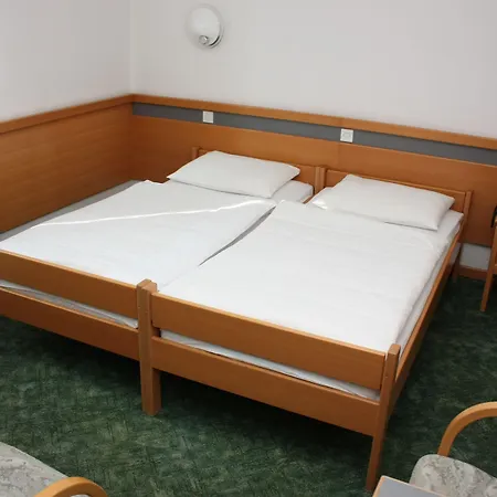 Alp Hotel 3*