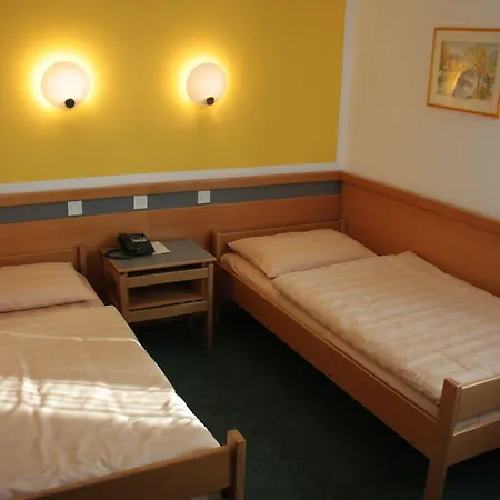 Alp Hotel 3*