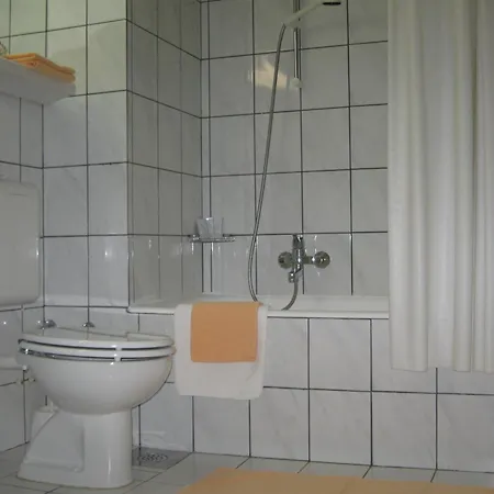 阿尔普酒店 酒店