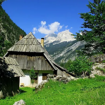 Alp Hotel 3*
