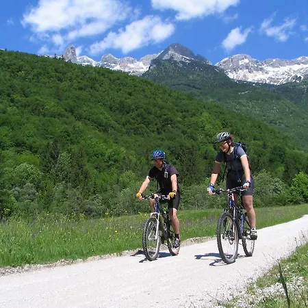 阿尔普酒店 酒店